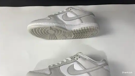 Dust" Dunk "Photon Nike Low DD1503-103 0622